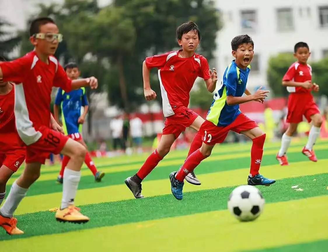 圣保利vs沃尔夫斯堡直播_圣保利vs沃尔夫斯堡免费高清在线直播_圣保利vs沃尔夫斯堡免费直播视频直播